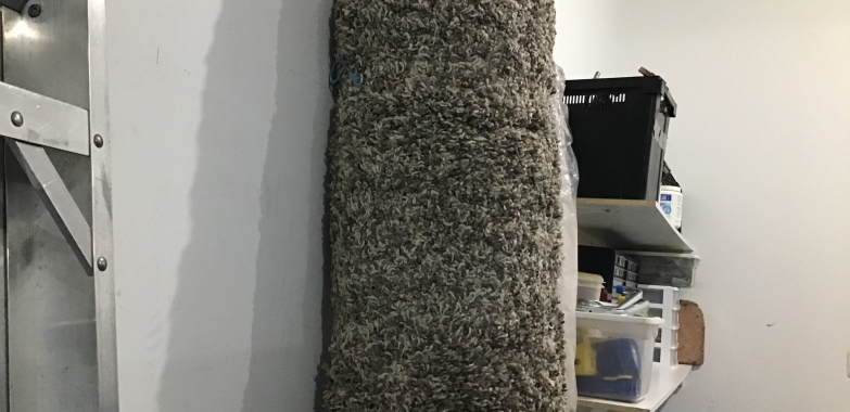 8 x 10 Taupe Area Rug